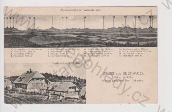  - Bučina (Buchwald) - panorama, Alpy, hostinec