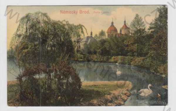  - Německý Brod (Havlíčkův Brod), partie, park, labuť, kolorovaná