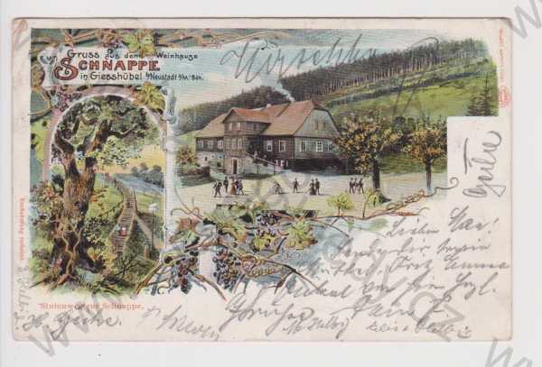  - Olešnice v Orlických horách (Giesshübel) - hostinec, vinárna Schnappe, litografie, DA, koláž, kolorovaná