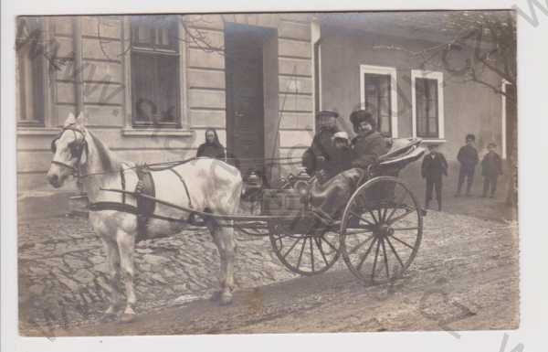  - Ořechov - soukromé foto, kůň kočár, rodina - Brno - venkov ?
