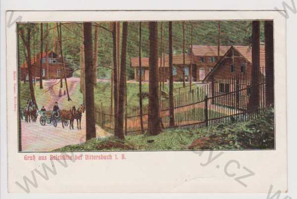  - Jetřichovice (Dittersbach) - Balzhütte, kůň, kolorovaná, DA