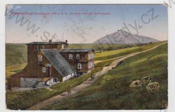  - Krkonoše (Riesengebirge) - Trutnov, Rennerbaude, ovce, pes, kolorovaná