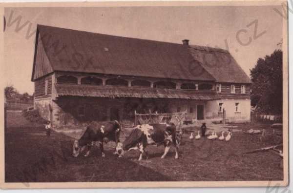  - Dolní Habartice - Nieder- Ebersdorf (Děčín - Tetschen), roubená chalupa, dobytek