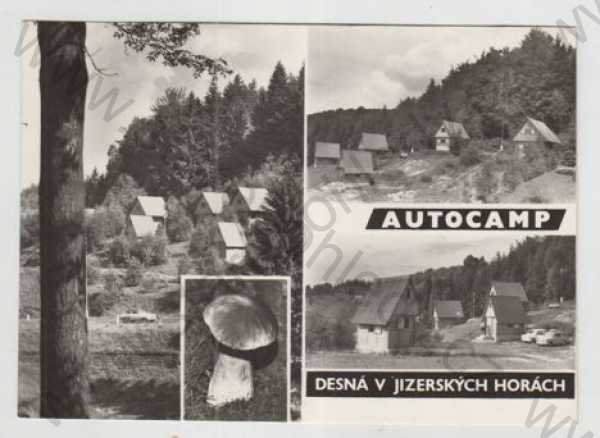  - Desná v Jizerských horách (Jablonec nad Nisou), více záběrů, autocamp, hřib, houba