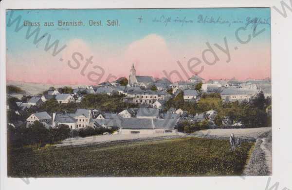  - Horní Benešov (Bennsich) - celkový pohled, kolorovaná