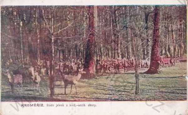 - Kroměříž, kolorovaná, stádo jelenů z obory