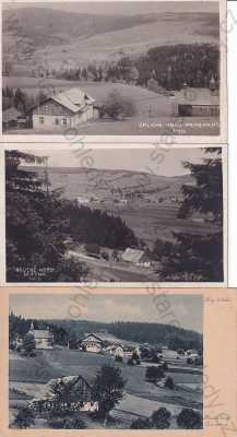  - 3x pohlednice: Orlické hory - Panorama, Deštné (Ústí nad Orlicí) turistická chata