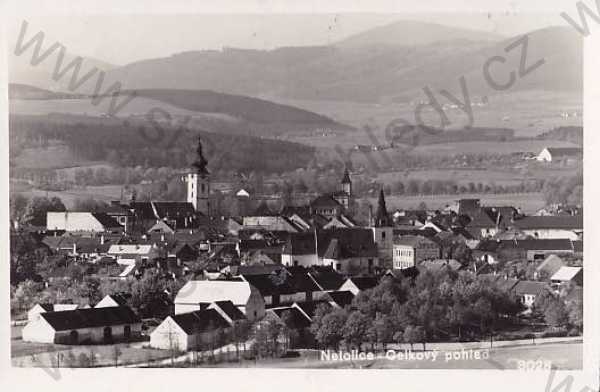  - Netolice (Prachatice), celkový pohled