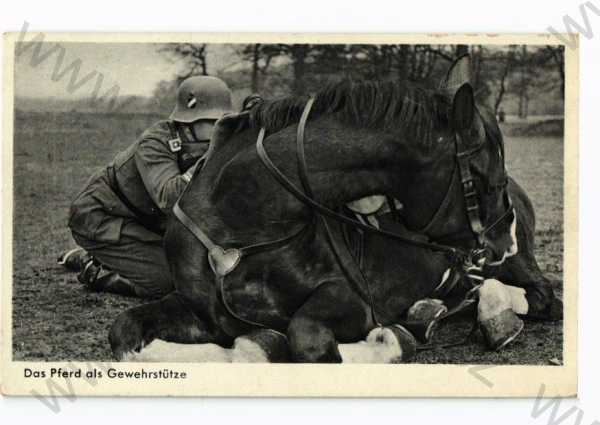  - 3. říše, Wehrmacht, kůň jako podpěra zbraně