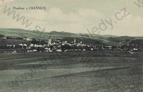  - Olešnice (Rychnov nad Kněžnou), celkový pohled