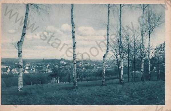  - Týn nad Vltavou (České Budějovice), celkový pohled