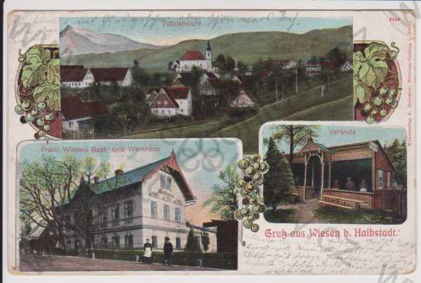  - Vižňov - Meziměstí (Wiesen bei Halbstadt) - celkový pohled, hostinec Winter, veranda, koláž, kolorovaná
