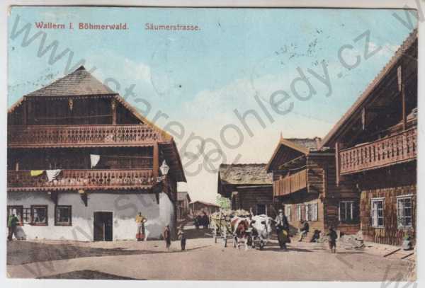  - Volary (Wallern) - Prachatice, pohled ulicí, kráva, povoz, kolorovaná, foto J.Seidel