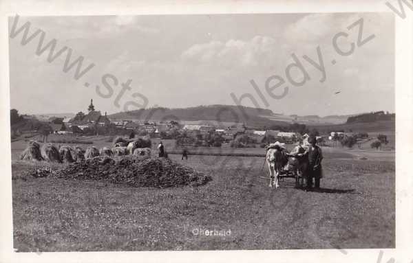  - Horní Dvořiště (Český Krumlov), celkový pohled, dobytek, pole, foto J.Seidel