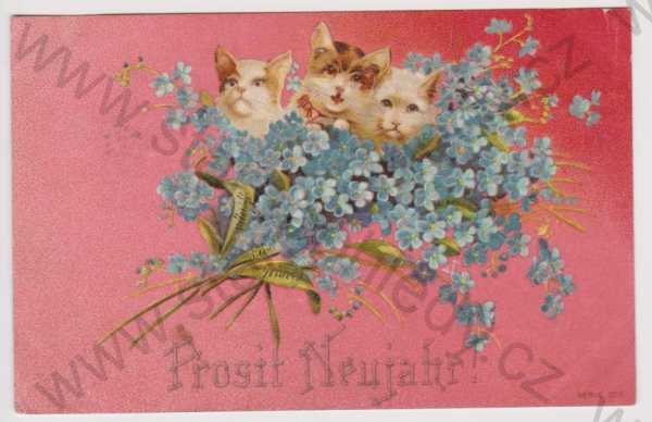 - Nový rok - kočičky v květinách, litografie, kolorovaná, DA