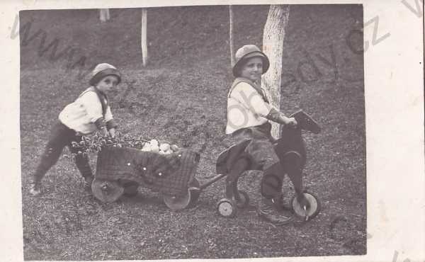  - Děti - fotografie, dvě děti, koník a vozík