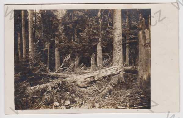  - Šumava - Boubín, real foto