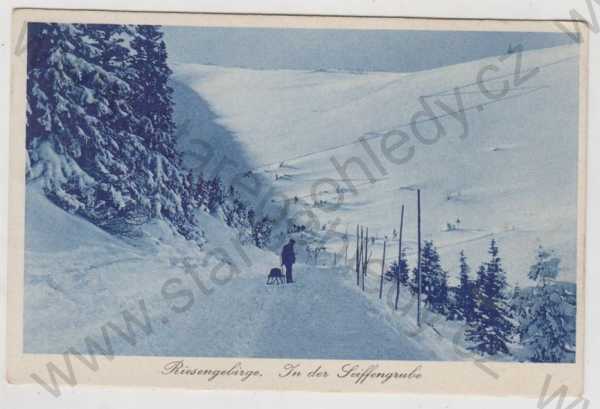  - Krkonoše (Riesengebirge), sníh, zimní, saně