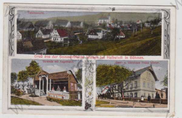  - Meziměstí - Vižňov (Wiesen bei Halbstadt) - Náchod, více záběrů, celkový pohled, veranda, restaurace, kolorovaná