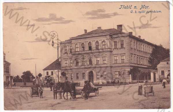  - Třebíč - gymnázium, kůň