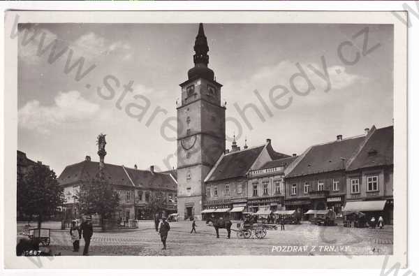  - Slovensko - Trnava - náměstí, kůň