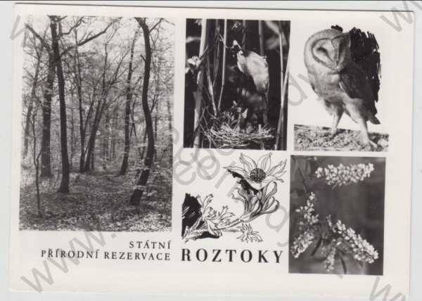  - Roztoky (Praha - západ), více záběrů, Státní přírodní rezervace, sova, strom, květina, není pohlednice