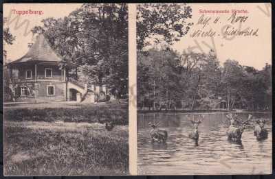  - Dubí-část obce Mstišov (Teplice), více záběrů, lovecký pavilon-Tuppelburg-Dvojhradí-obora