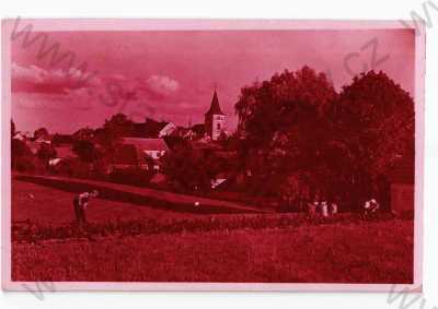  - Černovice u Tábora, Pelhřimov, částečný záběr města, tónovaná, Grafo Čuda Holice, foto J. Matějka