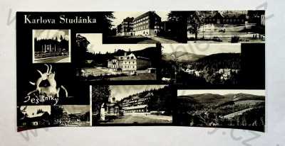  - Jeseníky - Karlova Studánky - lázně, lázeňské domy, celkový pohled, jelen, koláž, více záběrů, formát DL, Orbis