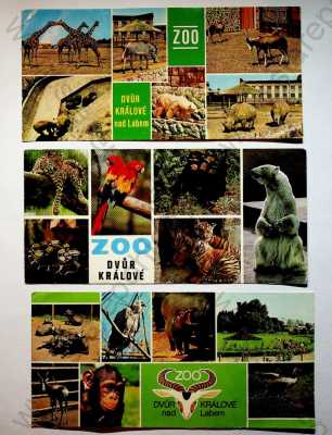  - Dvůr Králové nad Labem - konvolut 3 ks, ZOO, záběry na jednotlivá zvířata - žirafa, zebra, lední medvěd, papoušek, tygr, hroch, více záběrů, koláž, barevná, formát DL