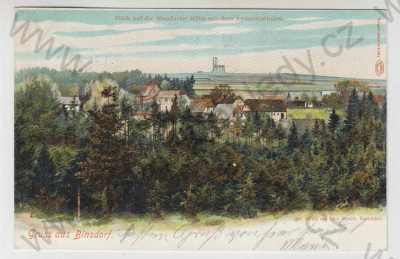  - Binovec (Binsdorf) - Děčín, celkový pohled, kolorovaná, DA