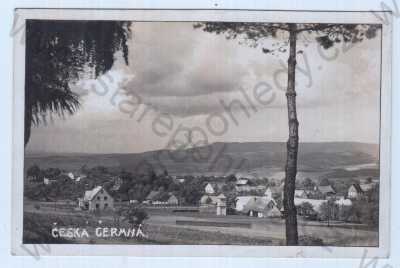  - Česká Čermná (Náchod), celkový pohled