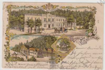  - Lázně Kynžvart (Bad Königswart) - Cheb, více záběrů, Hotel Metternich, lázně, pramen, kolorovaná, koláž, DA
