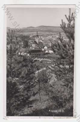  - Kaplice (Kaplitz), Český Krumlov, částečný záběr města, pohled na město z výšky