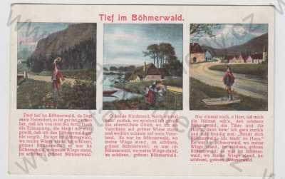  - Šumava (Böhmerwald) - Klatovy, Tief im Böhmerwald, kolorovaná