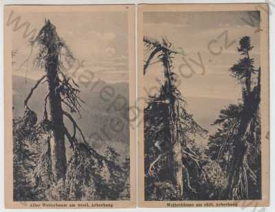  - 2x Šumava (Klatovy), JAvor