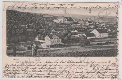  - Horšovský Týn (Bischofteinitz) - Domažlice, celkový pohled, DA