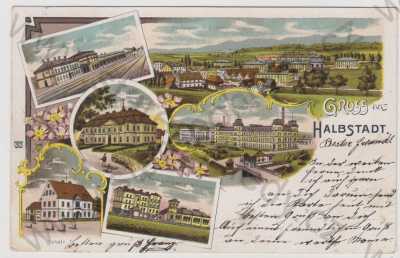  - Meziměstí (Halbstadt) - Náchod, více záběrů, celkový pohled, nádraží, zámek, škola, tkalcovna, kolorovaná, koláž, litografie, DA