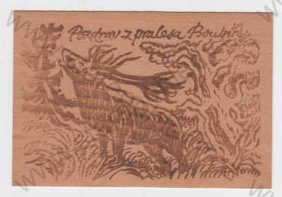  - Boubín (Prachatice), jelen, dýha