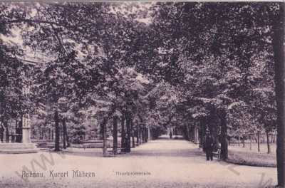  - Rožnov pod Radhoštěm Vsetín ROžnau, park promenáda