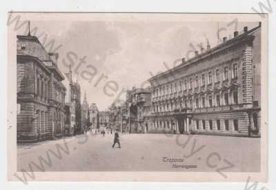  - Opava (Troppau), Herrengasse- Panská ulice, celkový pohled
