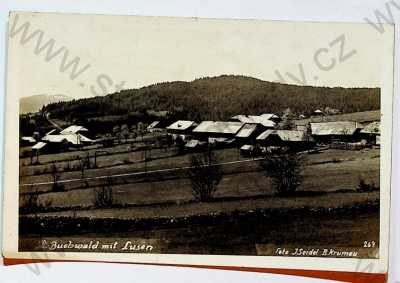  - Bučina  - částečný pohled, foto Seidel, zaniklé!
