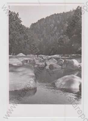  - Písek, řeka, les, krajina, není pohlednice - fotografie