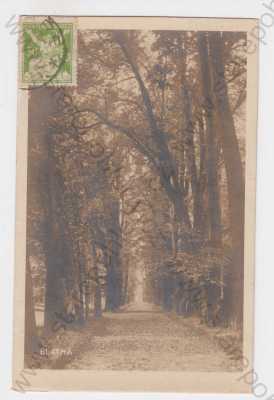  - Blatná (Strakonice), stromová alej