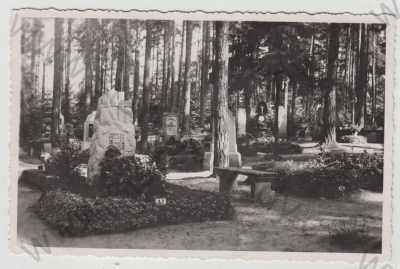  - Nový Bor (Haida) - Česká Lípa, lesní hřbitov
