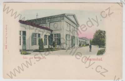  - Františkovy lázně (Franzensbad) - Cheb, pramen, kolorovaná, DA