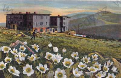  - Trutnov, Riesengebirge, Krkonoše, Petrova bouda, barevná