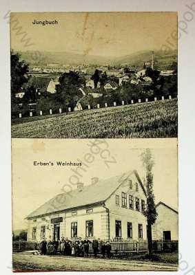  - Horní Staré Město - celkový pohled, hostinec, více záběrů