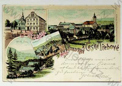  - Česká Třebová - radnice, škola, Lázně Hory, částečný pohled, NÁDRAŽÍ, litografie, DA, koláž, kolorovaná, více záběrů