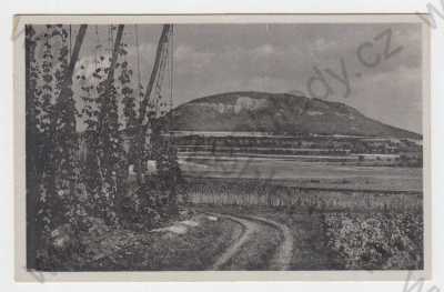  - Říp (Georgsberg), Litoměřice, celkový pohled, chmel